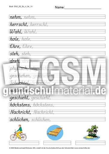 DSS_2S_Bu_h_Nr_10.pdf